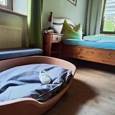 Ansimali Gruenhain-Beierfeld