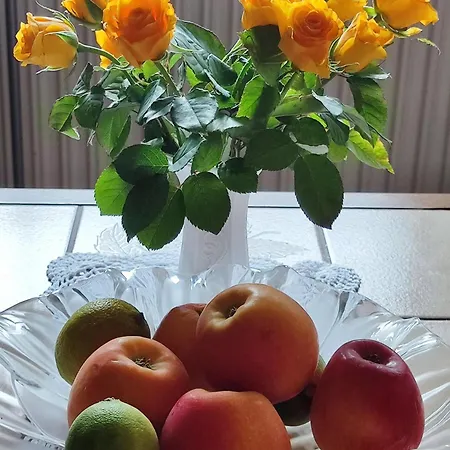 Ansimali Apartment *