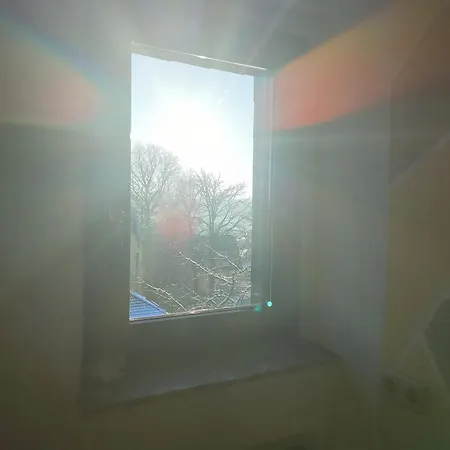 Ansimali Gruenhain-Beierfeld