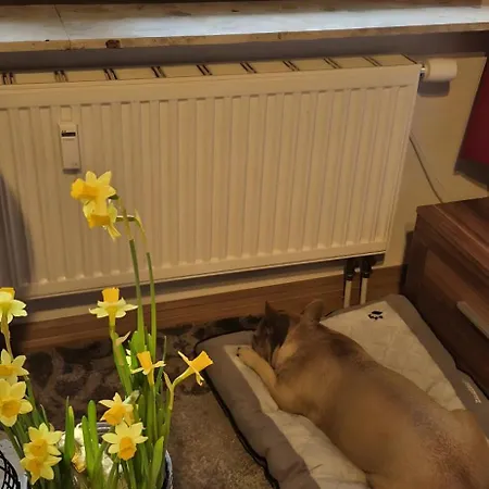 Apartment Ansimali *